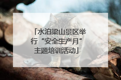 水泊梁山景区举行“安全生产月”主题培训活动