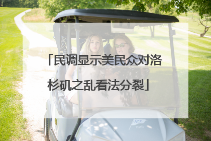 民调显示美民众对洛杉矶之乱看法分裂