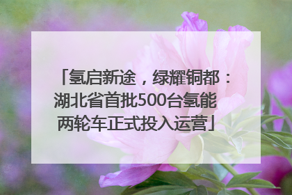 氢启新途，绿耀铜都：湖北省首批500台氢能两轮车正式投入运营
