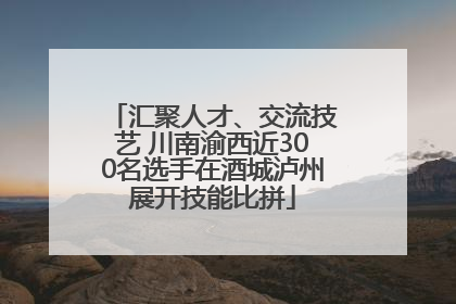 汇聚人才、交流技艺 川南渝西近300名选手在酒城泸州展开技能比拼