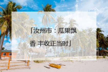 汝州市：瓜果飘香 丰收正当时
