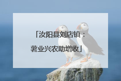汝阳县刘店镇：薯业兴农助增收