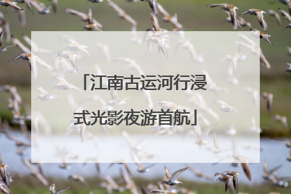 江南古运河行浸式光影夜游首航