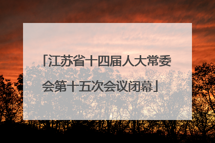 江苏省十四届人大常委会第十五次会议闭幕