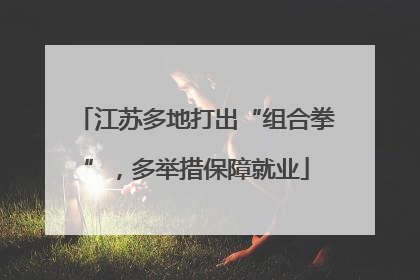 江苏多地打出“组合拳”，多举措保障就业