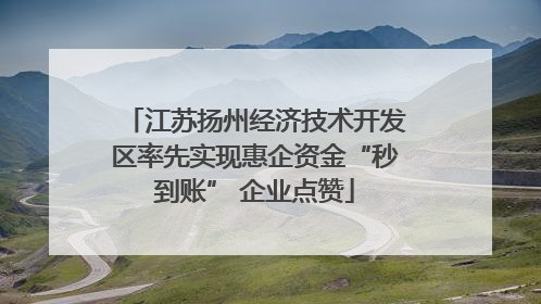 江苏扬州经济技术开发区率先实现惠企资金“秒到账” 企业点赞