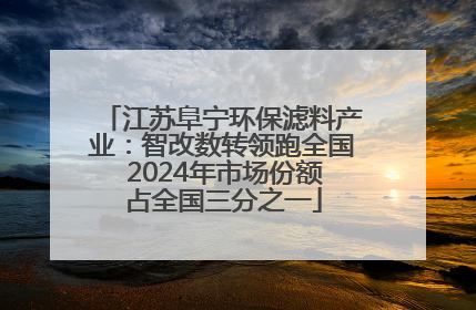 江苏阜宁环保滤料产业：智改数转领跑全国 2024年市场份额占全国三分之一