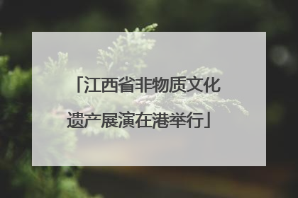 江西省非物质文化遗产展演在港举行