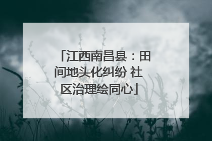 江西南昌县：田间地头化纠纷 社区治理绘同心