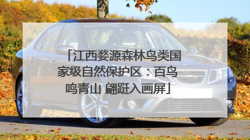 江西婺源森林鸟类国家级自然保护区：百鸟鸣青山 翩跹入画屏