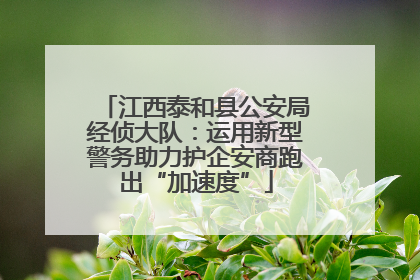 江西泰和县公安局经侦大队：运用新型警务助力护企安商跑出“加速度”