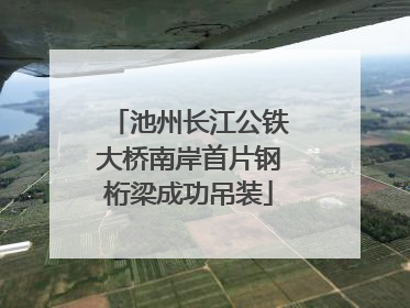 池州长江公铁大桥南岸首片钢桁梁成功吊装