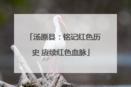 汤原县：铭记红色历史 赓续红色血脉