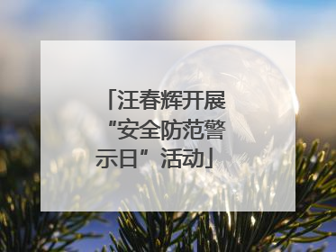 汪春辉开展“安全防范警示日”活动