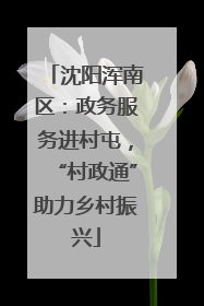 沈阳浑南区：政务服务进村屯，“村政通”助力乡村振兴