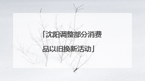 沈阳调整部分消费品以旧换新活动