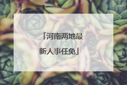 河南两地最新人事任免