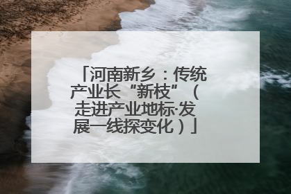河南新乡：传统产业长“新枝”（走进产业地标·发展一线探变化）
