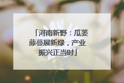 河南新野：瓜蒌藤蔓展新绿，产业振兴正当时