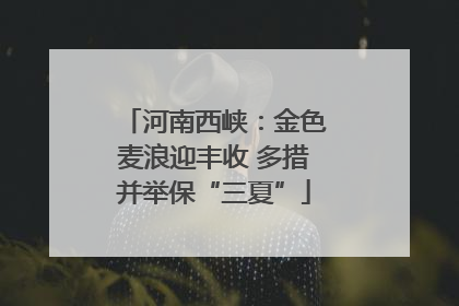 河南西峡：金色麦浪迎丰收 多措并举保“三夏”