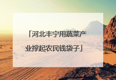 河北丰宁用蔬菜产业撑起农民钱袋子