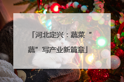河北定兴：蔬菜“蔬”写产业新篇章