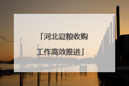 河北夏粮收购工作高效推进