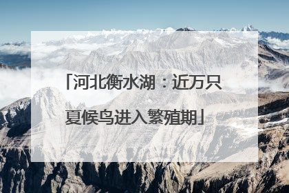 河北衡水湖：近万只夏候鸟进入繁殖期