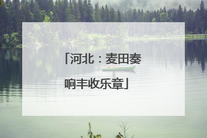 河北：麦田奏响丰收乐章