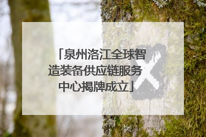 泉州洛江全球智造装备供应链服务中心揭牌成立