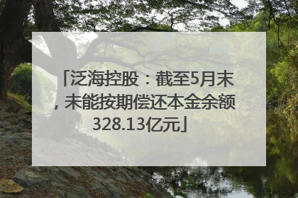 泛海控股：截至5月末，未能按期偿还本金余额328.13亿元