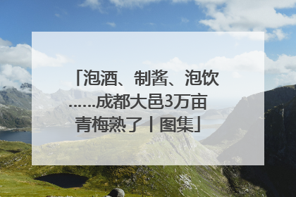 泡酒、制酱、泡饮……成都大邑3万亩青梅熟了丨图集