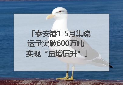 泰安港1-5月集疏运量突破600万吨 实现“量增质升”