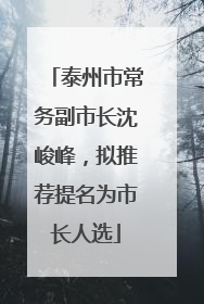 泰州市常务副市长沈峻峰，拟推荐提名为市长人选