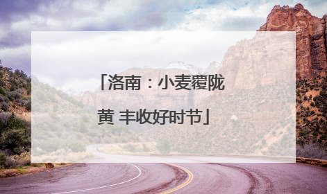 洛南：小麦覆陇黄 丰收好时节