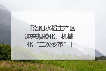 洛阳水稻主产区迎来规模化、机械化“二次变革”