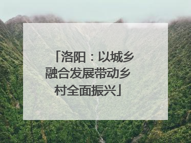 洛阳：以城乡融合发展带动乡村全面振兴