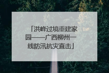 洪峰过境重建家园——广西柳州一线防汛抗灾直击