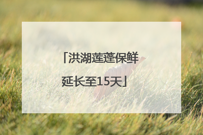 洪湖莲蓬保鲜延长至15天