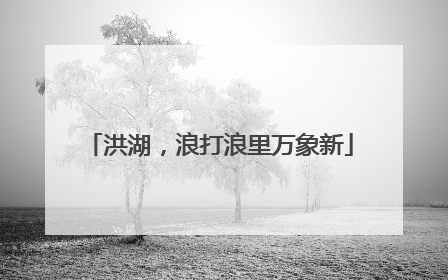 洪湖，浪打浪里万象新