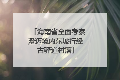海南省全面考察澄迈境内东坡行经古驿道村落