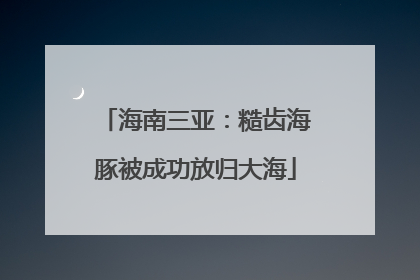 海南三亚：糙齿海豚被成功放归大海