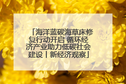 海洋蓝碳海草床修复行动开启 循环经济产业助力低碳社会建设丨新经济观察
