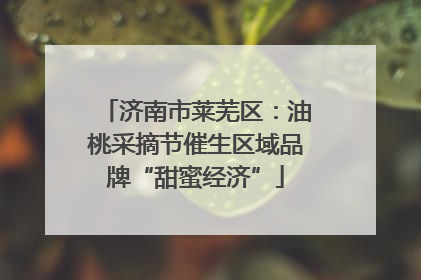 济南市莱芜区：油桃采摘节催生区域品牌“甜蜜经济”