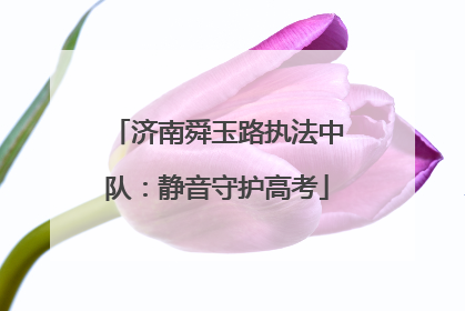 济南舜玉路执法中队：静音守护高考