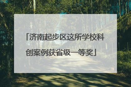 济南起步区这所学校科创案例获省级一等奖