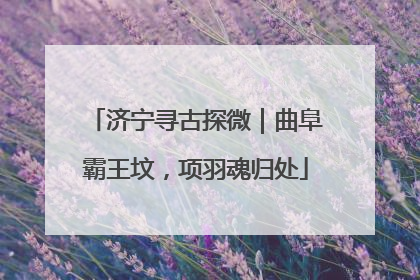 济宁寻古探微｜曲阜霸王坟，项羽魂归处