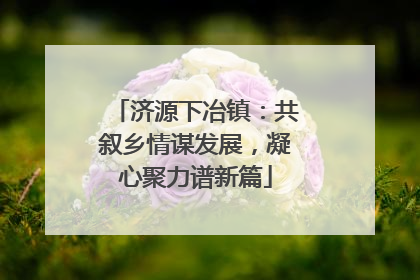济源下冶镇：共叙乡情谋发展，凝心聚力谱新篇