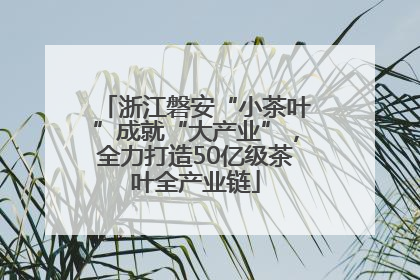 浙江磐安“小茶叶”成就“大产业”，全力打造50亿级茶叶全产业链