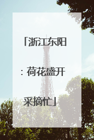 浙江东阳：荷花盛开采摘忙